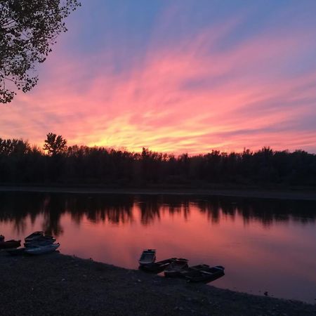 B&B Bela Vrba Backo Novo Selo Luaran gambar