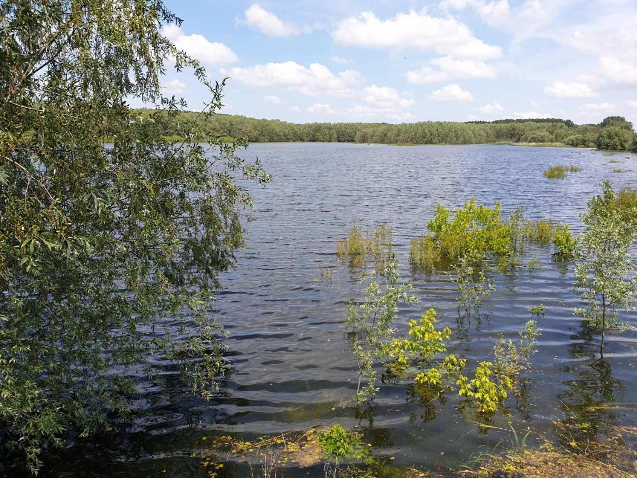 B&B Bela Vrba Backo Novo Selo Luaran gambar