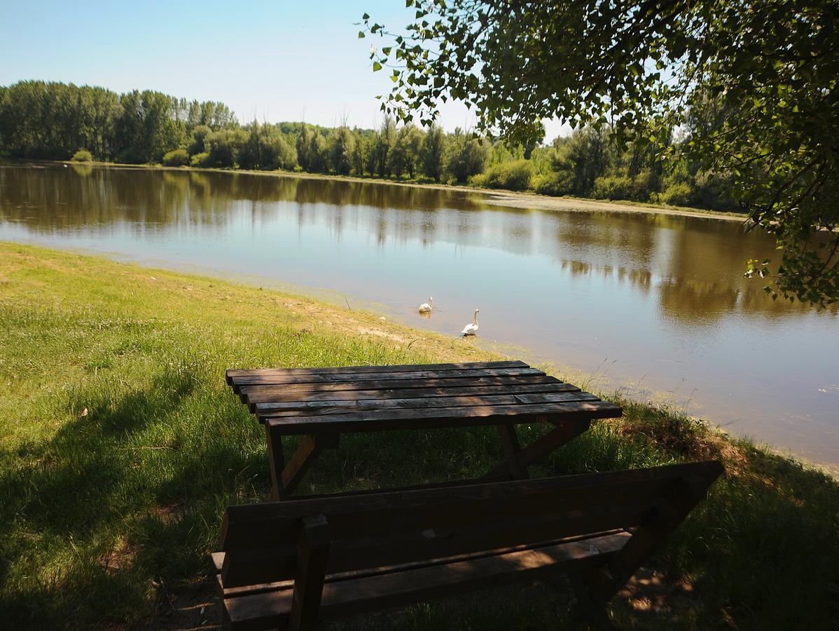 B&B Bela Vrba Backo Novo Selo Luaran gambar